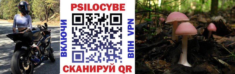 Псилоцибиновые грибы MAGIC MUSHROOMS  Купить закладки  Новый Оскол 